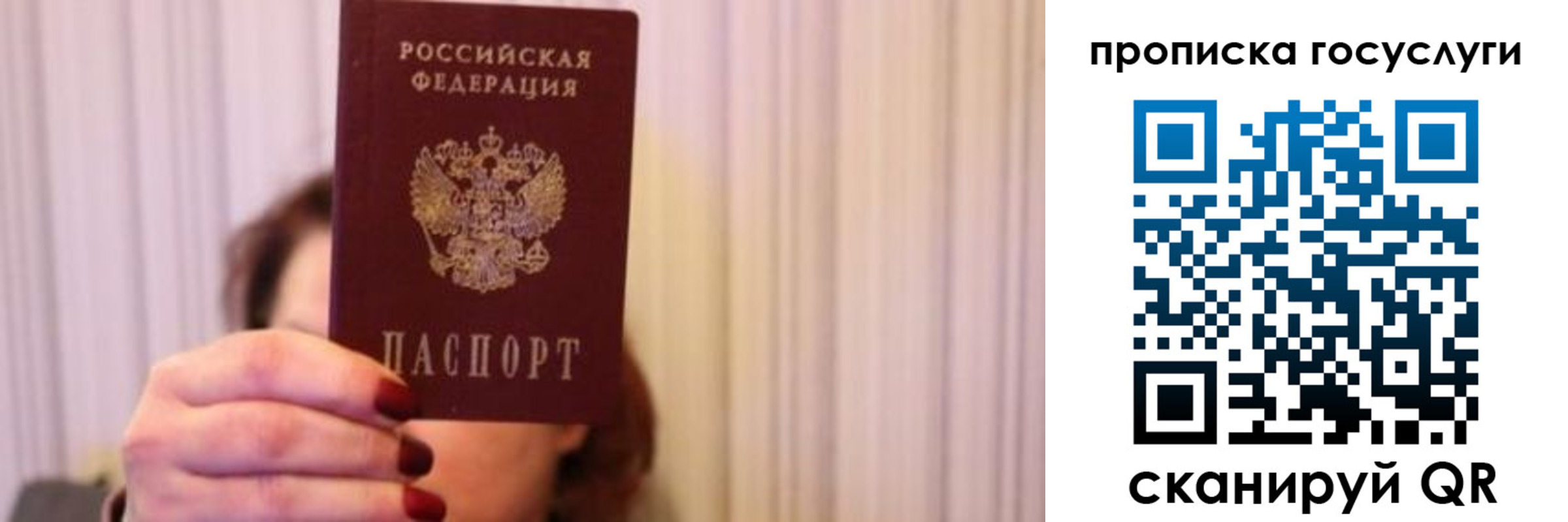 где прописаться в Гаджиево